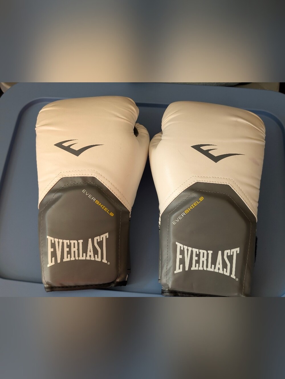 Fighting Sports Boxing MMA Training Gloves /Everlast Pro Style Elite 12oz 2 sets
